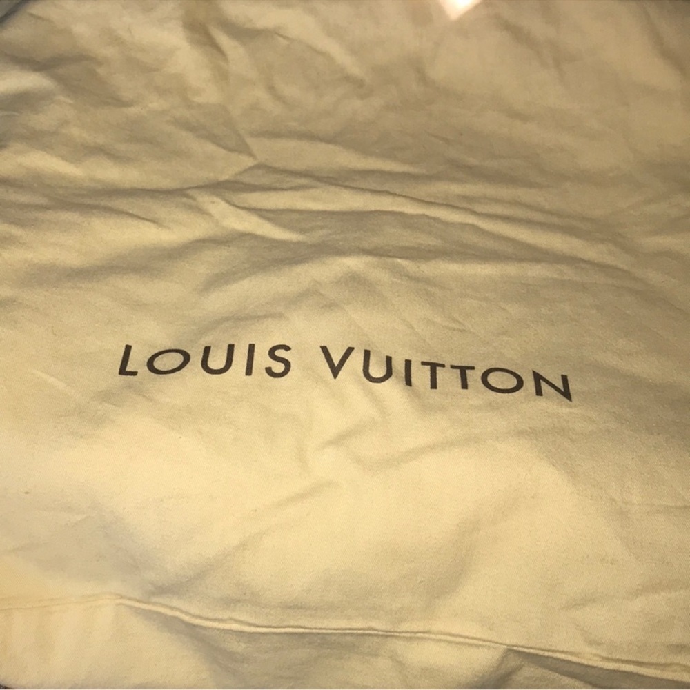 Louis vutton bag